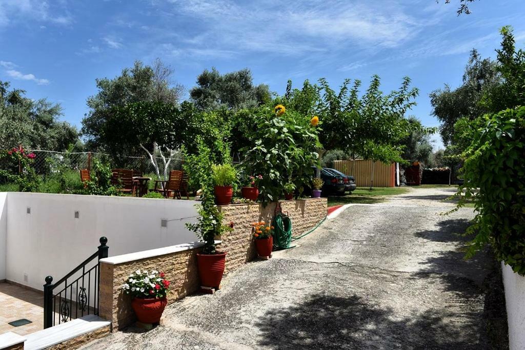 Marmaron Rooms Agiokampos  Exterior foto